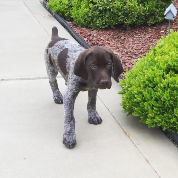 <span style="color: #0066cc;">Reserved</span> •