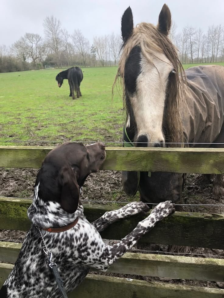 dd7acb0895f2393e36495a5f2f4505e9